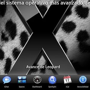 leopard