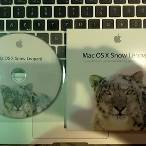 snow leopard
