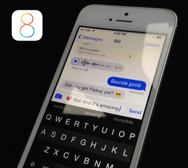 Fleksy iOS